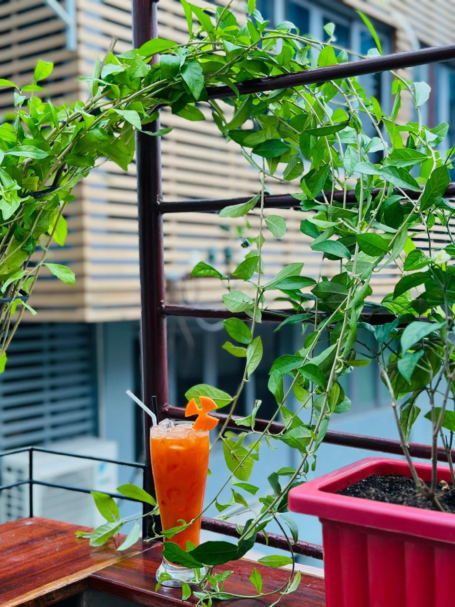Khách sạn nang T Zone - Quiet Place, Near China Town,ho Thi Ky Street Food,cafe,beer *